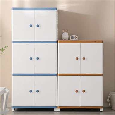 ארון פלסטיק עם דלת כפולה